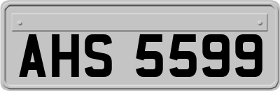 AHS5599