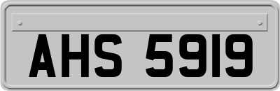 AHS5919