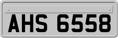 AHS6558