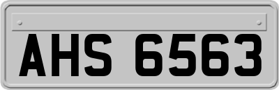 AHS6563