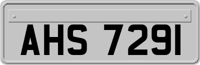 AHS7291