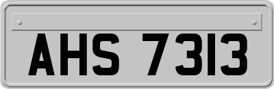AHS7313