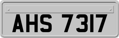 AHS7317