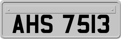 AHS7513