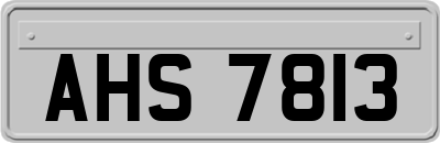 AHS7813