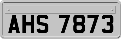 AHS7873