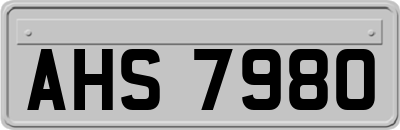 AHS7980