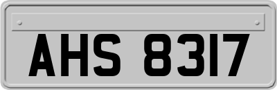 AHS8317