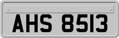 AHS8513