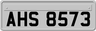 AHS8573