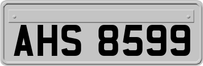 AHS8599