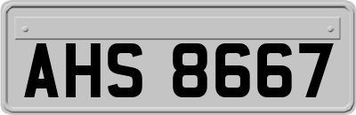 AHS8667