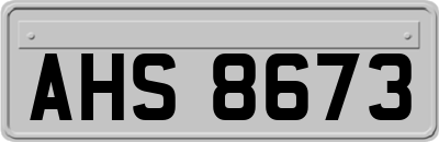 AHS8673
