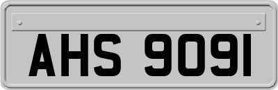 AHS9091