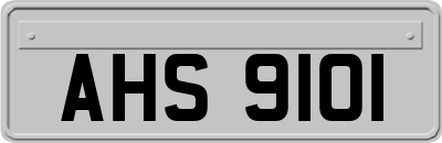 AHS9101