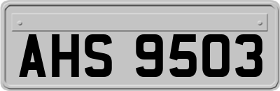 AHS9503