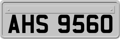 AHS9560