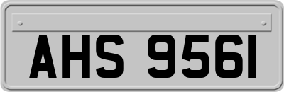 AHS9561