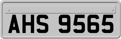 AHS9565