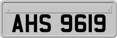 AHS9619