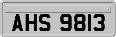 AHS9813