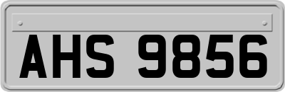 AHS9856