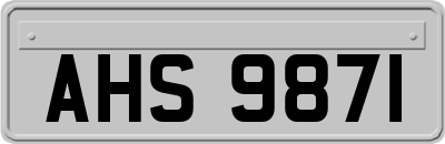 AHS9871