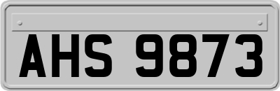AHS9873