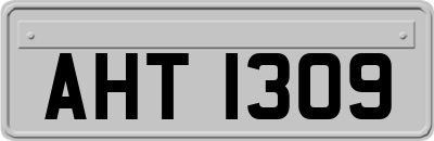 AHT1309