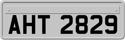 AHT2829