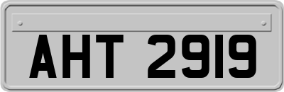 AHT2919