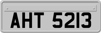 AHT5213