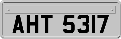 AHT5317