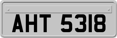 AHT5318