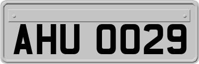 AHU0029