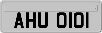 AHU0101