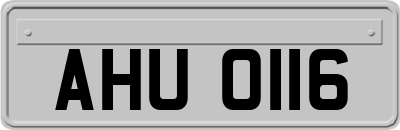 AHU0116