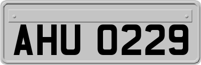 AHU0229