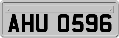 AHU0596