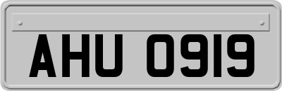 AHU0919