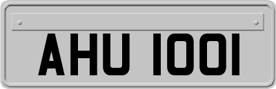 AHU1001
