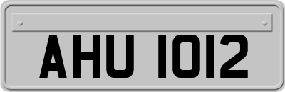 AHU1012