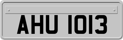 AHU1013