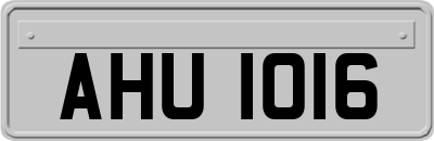 AHU1016