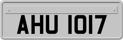 AHU1017