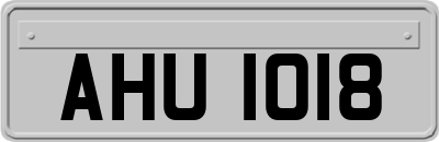 AHU1018