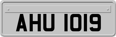 AHU1019