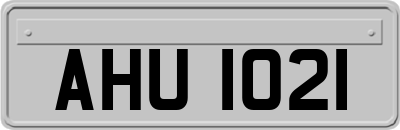 AHU1021
