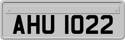AHU1022