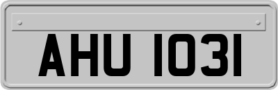 AHU1031